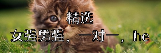 精選女強男強，一對一，he