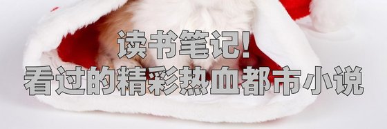 读书笔记！看过的精彩热血都市小说