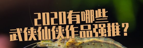 2020有哪些武俠仙俠作品強推？